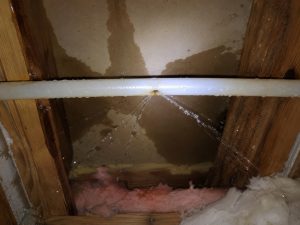 Leaking Pex Pipe