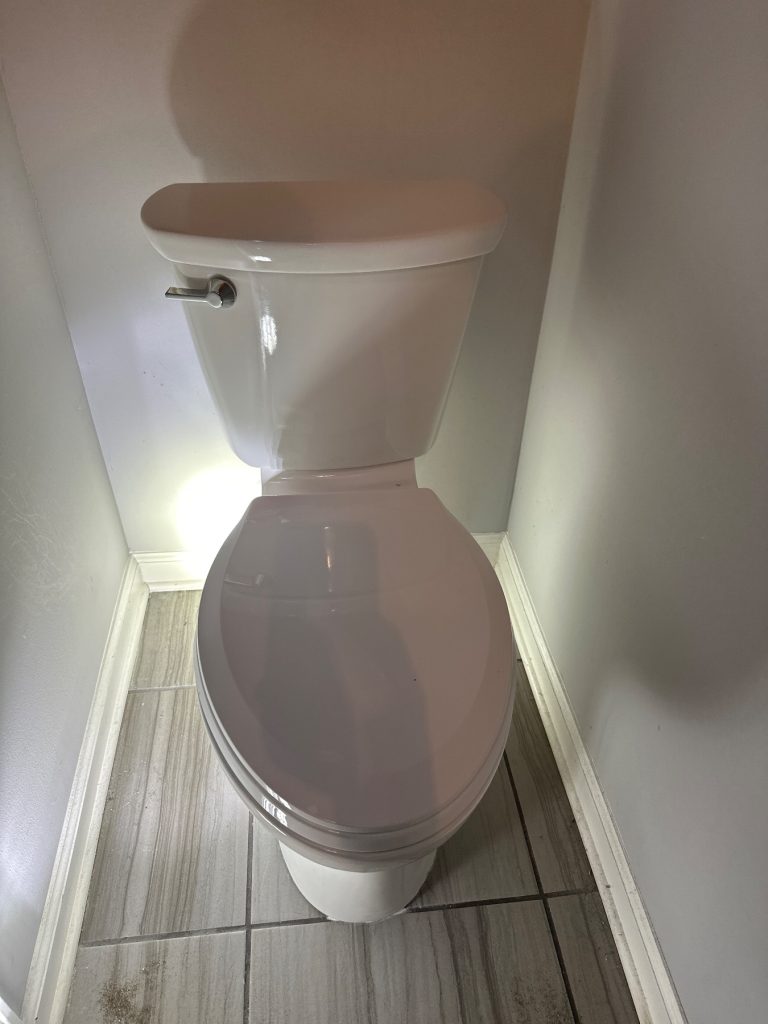 Replaced existing toilet with American Standard Cadet at home in Applewood Farms -- Taylorsville, GA